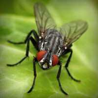 /album/radio-comunitaria-el-cuarto-ombu/photolia-a01-jpg/