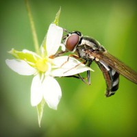 /album/radio-comunitaria-el-cuarto-ombu/photolia-a02-jpg/