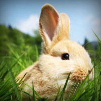 /album/radio-comunitaria-el-cuarto-ombu/photolia-a03-jpg/