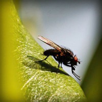 /album/radio-comunitaria-el-cuarto-ombu/photolia-a04-jpg/