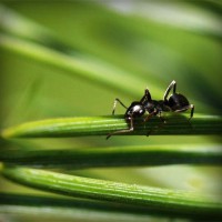 /album/radio-comunitaria-el-cuarto-ombu/photolia-a05-jpg/