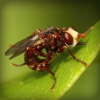 /album/radio-comunitaria-el-cuarto-ombu/photolia-a06-jpg/