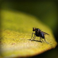 /album/radio-comunitaria-el-cuarto-ombu/photolia-a07-jpg/