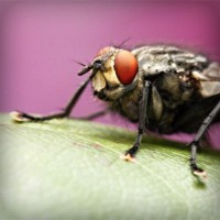 /album/radio-comunitaria-el-cuarto-ombu/photolia-a08-jpg/